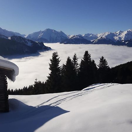 Appartement Haus Viktoria à Mayrhofen Extérieur photo