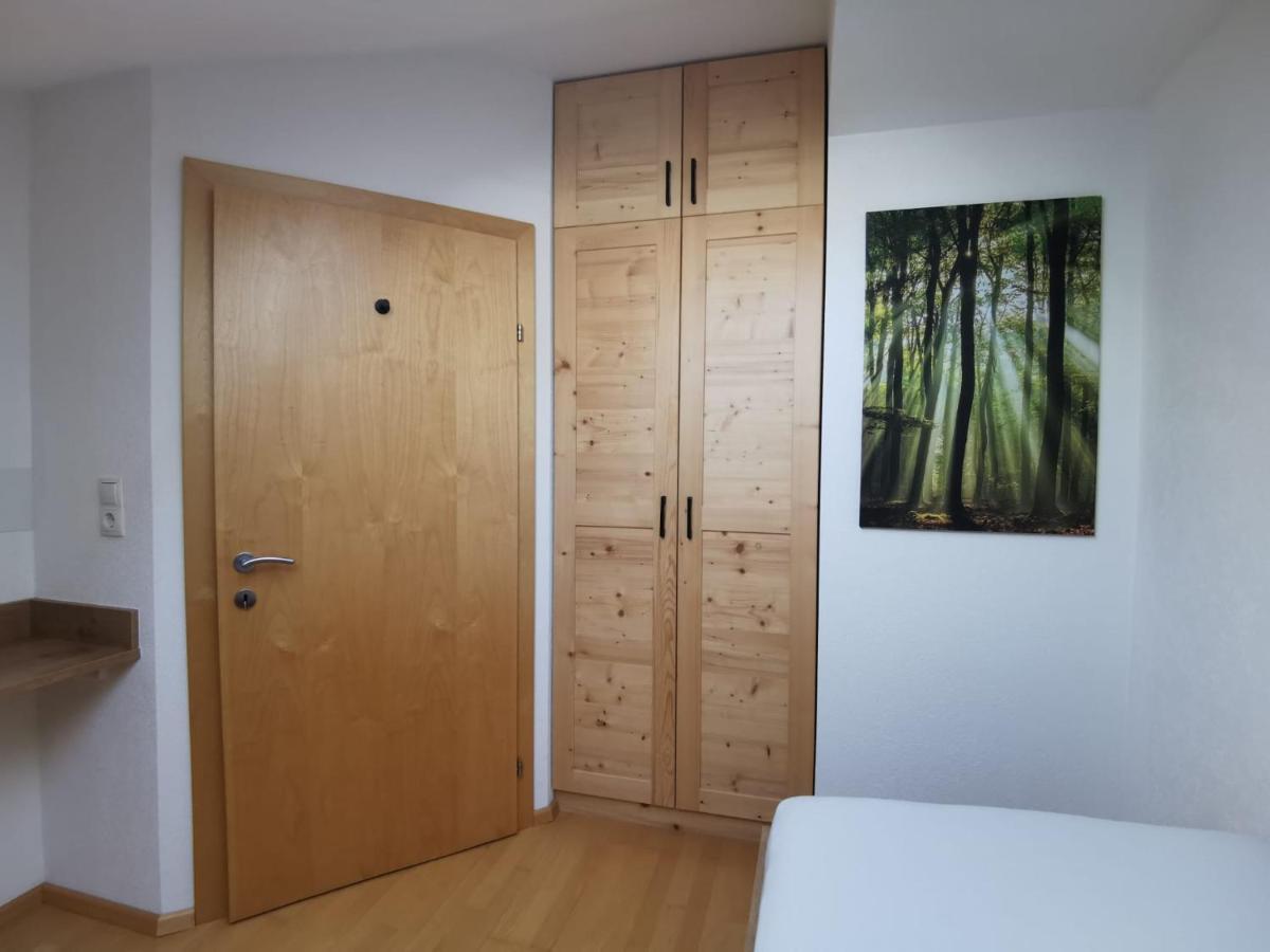 Appartement Haus Viktoria à Mayrhofen Extérieur photo